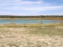 Paseando al perro por el lago.