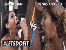 LETSDOEIT - Canela Skin vs Venus Afrodita - ¿Quién es la mejor&quest;