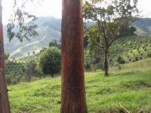 UNA RICA  FOLLADA  EN UN DÍA DE CAMPO
