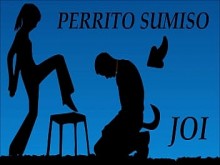 JOI - Transformate en perro, mi mascota personal. Voz española.