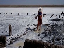 Barro curativo de Elton Salt Lake